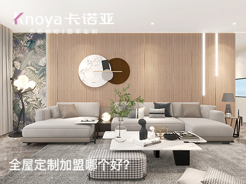 2023年河北全屋定制加盟选什么品牌好？